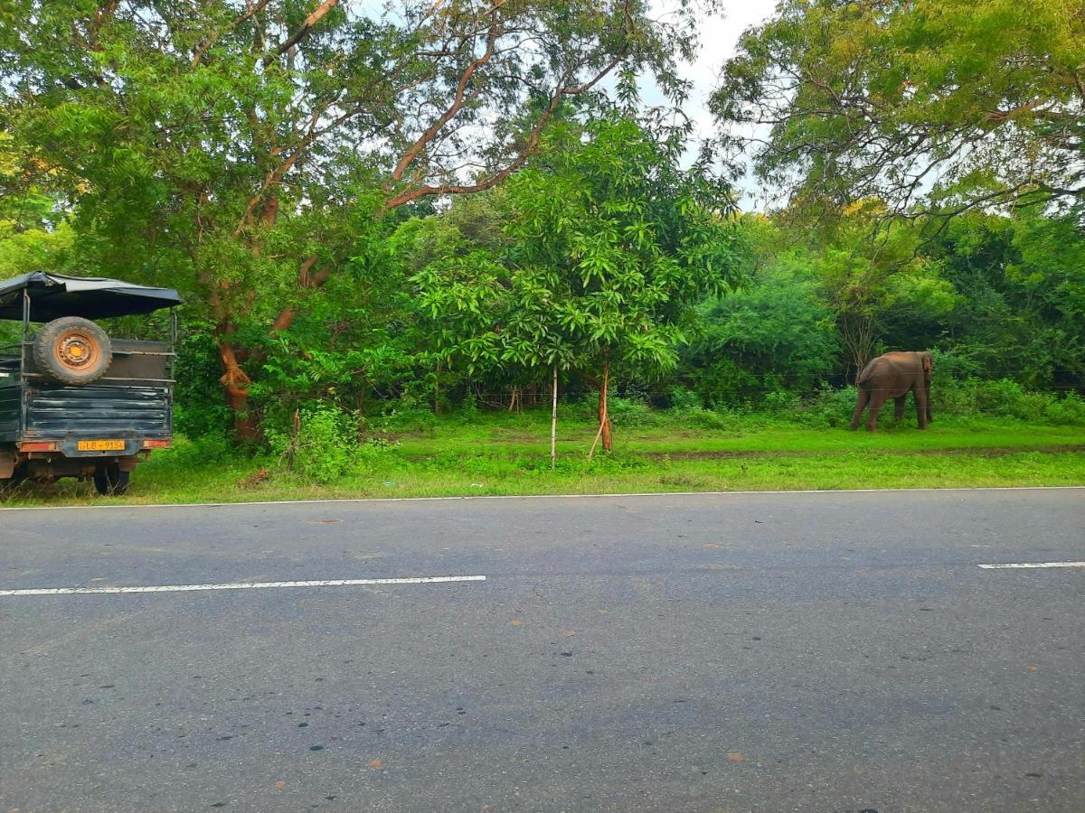 Hostel -In Frant Of The National Park- Udawalawe Exterior photo